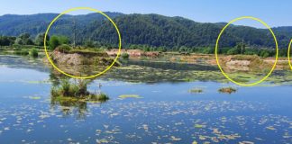 Firma unui tânăr pesedist, interpusul primarului Troacă, exploatări ilegale de agregate, la Padeș! Localnicii rămași fără terenuri au sesizat dezastrul ecologic!