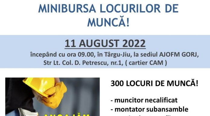 Târgu-Jiu: Minibursa locurilor de muncă