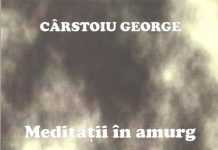 Bibliopolis – Meditațiile în amurg ale lui George Cârstoiu