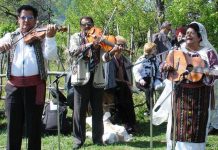 Festival de muzică lăutărească în pădurea Stejeret