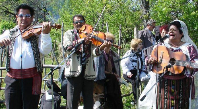 Festival de muzică lăutărească în pădurea Stejeret