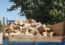DGASPC Gorj cumpără lemne pentru centrele din județ