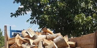 DGASPC Gorj cumpără lemne pentru centrele din județ