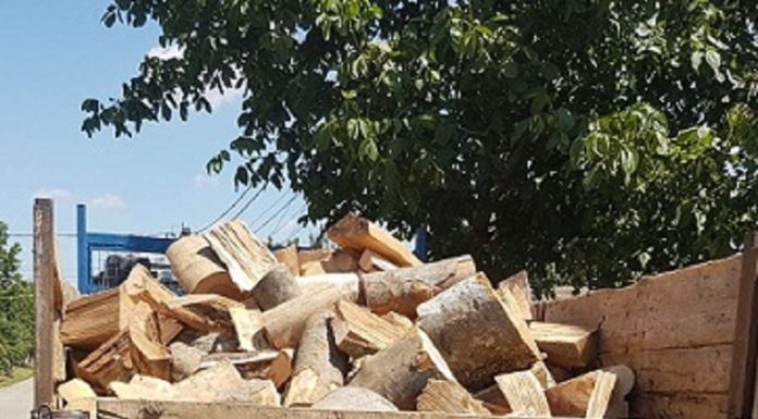 DGASPC Gorj cumpără lemne pentru centrele din județ