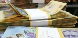 351 lei, indemnizaţia socială medie pentru pensionarii agricultori din Gorj