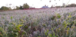 Agricultura pe înțelesul tuturor – Puțină agrometeorologie
