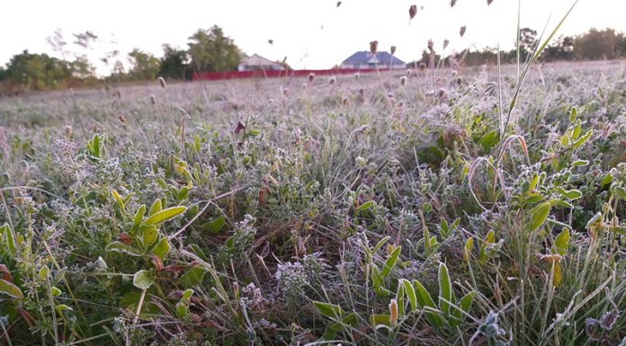 Agricultura pe înțelesul tuturor – Puțină agrometeorologie