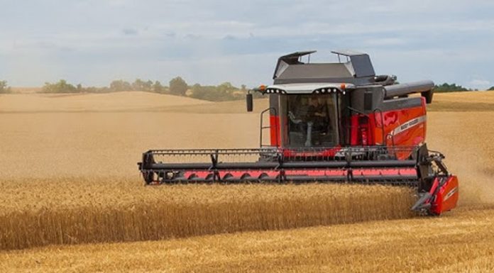 Agricultura pe înțelesul tuturor – Graficul lucrărilor agricole în luna august