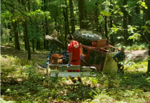 Tragedie în pădurea din Drăguțești – A murit în drum spre spital