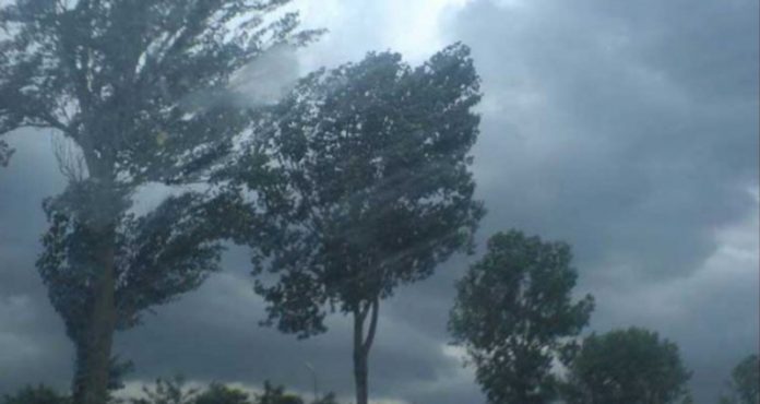 Pagube în Gorj din cauza vântului puternic