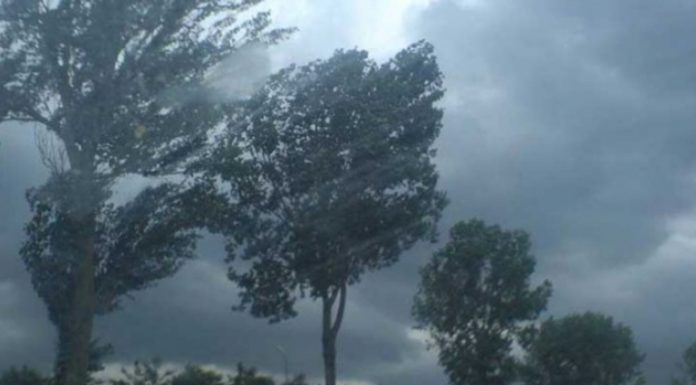 Cod roșu de vijelii, ploi torențiale și grindină. Localitățile afectate!