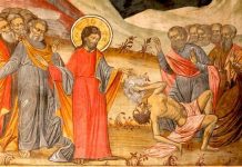 Calea, Lumina, Adevărul şi Viaţa! – Dumnezeul creștin înseamnă să vezi «bobul de muștar» din propria alcătuire de suflet, când El vrea din partea noastră numai dovezi ale credinţei şi ale iubirii negrăite!