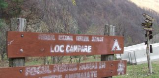 Sanctuare ale naturii – PARCURILE NAŢIONALE DE PE JIUL DE SUS