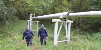 20 de ani de la înființarea Detașamentului de Jandarmi din Bărbătești