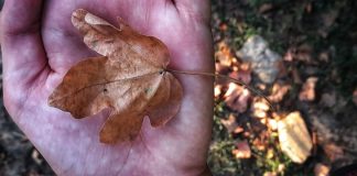 Starea vremii în Gorj, cu Darius Andrei Norocea – Mijloc de săptămână plăcut, din punct de vedere meteorologic