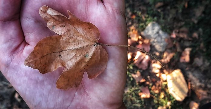 Starea vremii în Gorj, cu Darius Andrei Norocea – Mijloc de săptămână plăcut, din punct de vedere meteorologic
