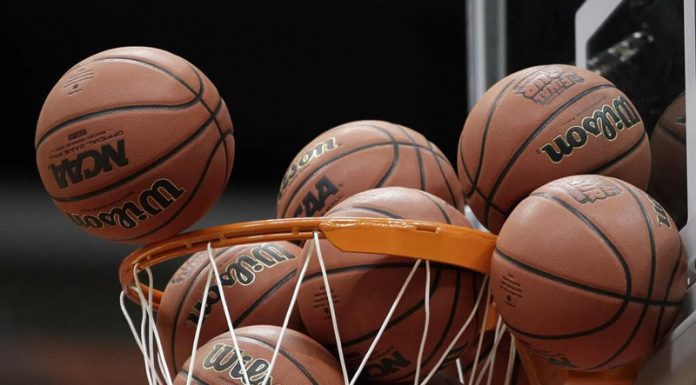 Cursuri organizate de AJB Gorj