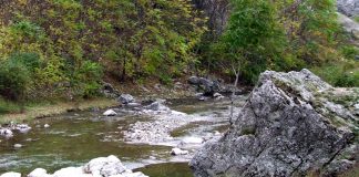 Sanctuare ale naturii – Pe urmele lui Iorgovan – (1)