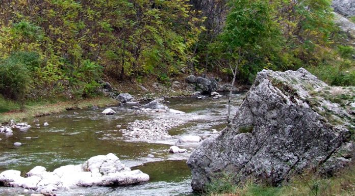 Sanctuare ale naturii – Pe urmele lui Iorgovan – (1)