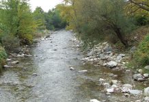 Sanctuare ale naturii – Pe urmele lui Iorgovan – (2)