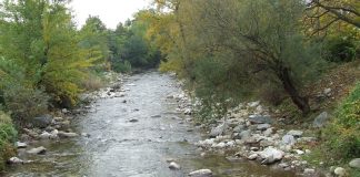 Sanctuare ale naturii – Pe urmele lui Iorgovan – (2)