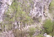Sanctuare ale naturii – Pe urmele lui Iorgovan – (3)