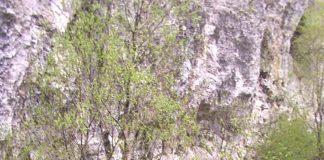 Sanctuare ale naturii – Pe urmele lui Iorgovan – (3)