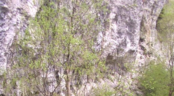 Sanctuare ale naturii – Pe urmele lui Iorgovan – (3)