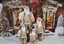 Știți cum să vă decorați casa de Crăciun?