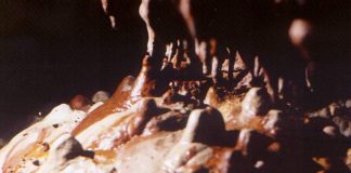 Restituiri – Peșterile în cătarea vremii