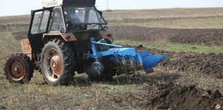 Agricultura pe înțelesul tuturor – Făceți-vă un mare bine, arați terenul toamna – (1)