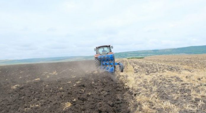 Agricultura pe înțelesul tuturor – Înființarea culturilor de toamnă