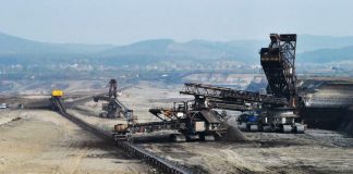 CEO: Milioane de lei pentru ghirlande și role