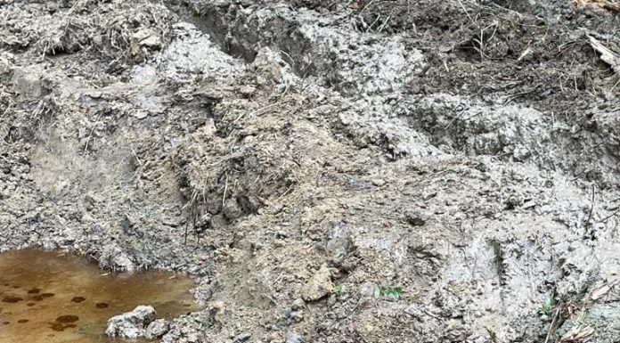 Poluare cu țiței la Jupânești