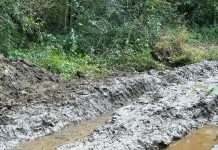 Poluare cu țiței la Vierșani