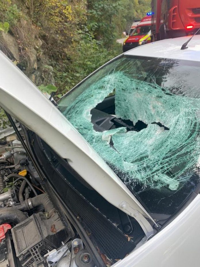 309749583_465366922208455_2518170191138468228_n-1-600x800