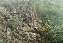 Reacția DRDP Craiova după moartea unui șofer în Defileul Jiului!