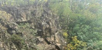 Reacția DRDP Craiova după moartea unui șofer în Defileul Jiului!