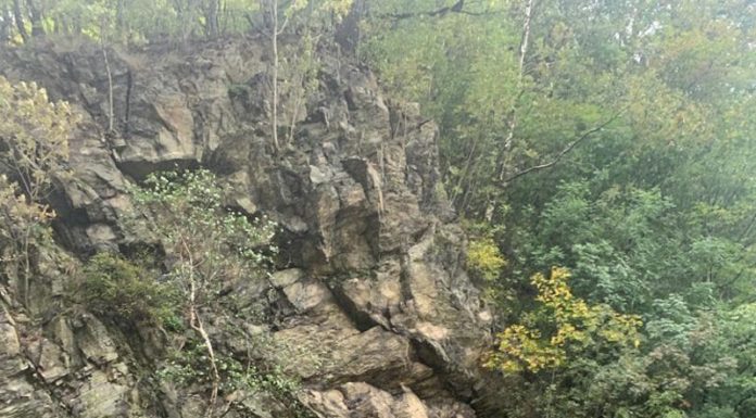 Reacția DRDP Craiova după moartea unui șofer în Defileul Jiului!