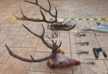 VIDEO: Percheziții la Novaci, Deva și Voineasa – Dosar cu un prejudiciu de peste 24.000 de euro