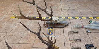 VIDEO: Percheziții la Novaci, Deva și Voineasa – Dosar cu un prejudiciu de peste 24.000 de euro