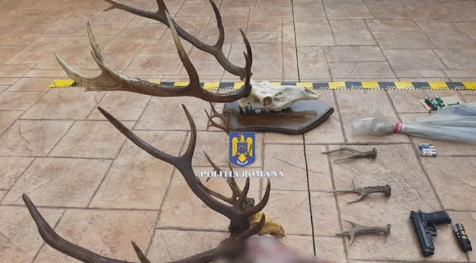 VIDEO: Percheziții la Novaci, Deva și Voineasa – Dosar cu un prejudiciu de peste 24.000 de euro