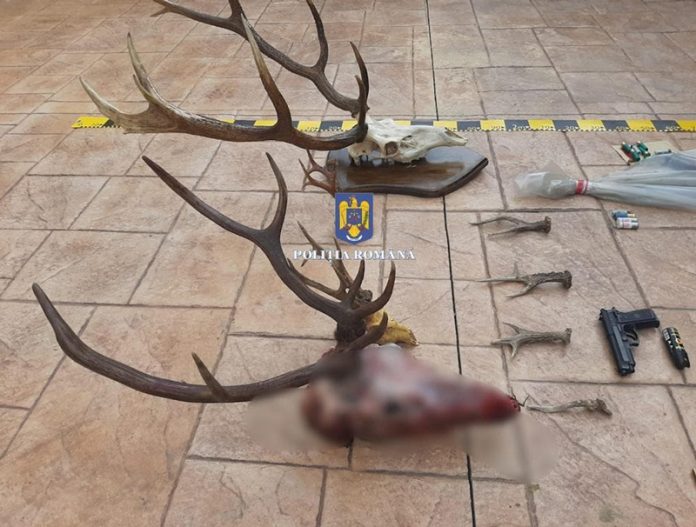 310301289_821168705895521_1444339573326221927_n