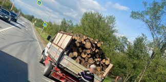 Camioane pline cu lemne, pe drumul național, oprite de Poliție!