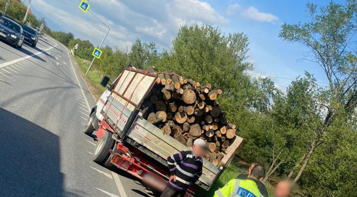 Camioane pline cu lemne, pe drumul național, oprite de Poliție!