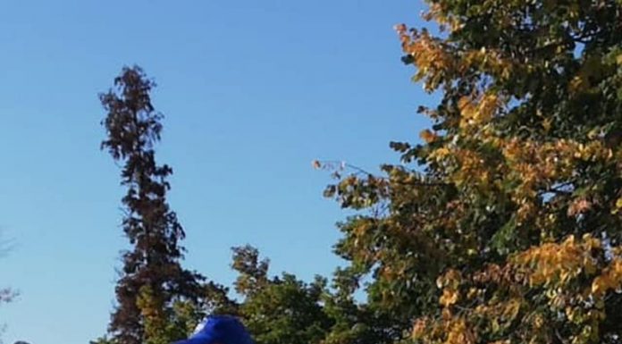 Proteste anti-sărăcie, la Târgu-Jiu