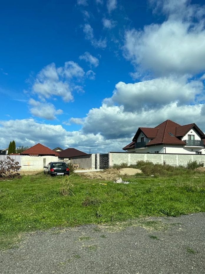 312581560_782430483058993_3682880599508671962_n