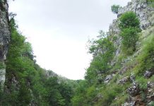 Sanctuare ale naturii – Locuri…