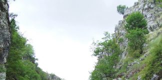 Sanctuare ale naturii – Locuri…