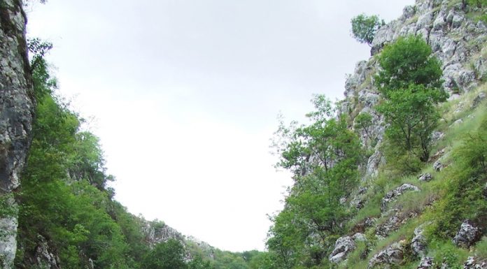 Sanctuare ale naturii – Locuri…